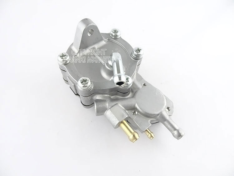 ばふんがばーふんばーふん DSC08057a.jpg